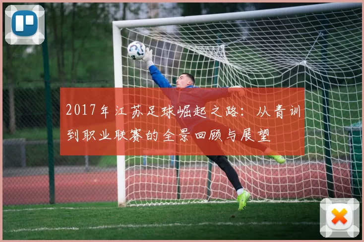 2017年江苏足球崛起之路：从青训到职业联赛的全景回顾与展望